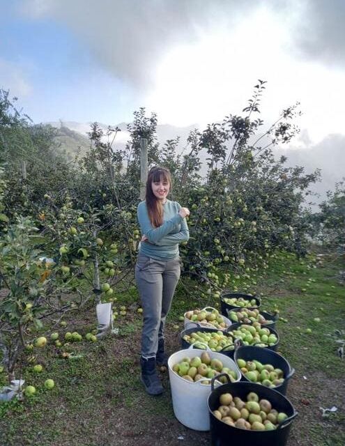 mujer con recolección de manzanas